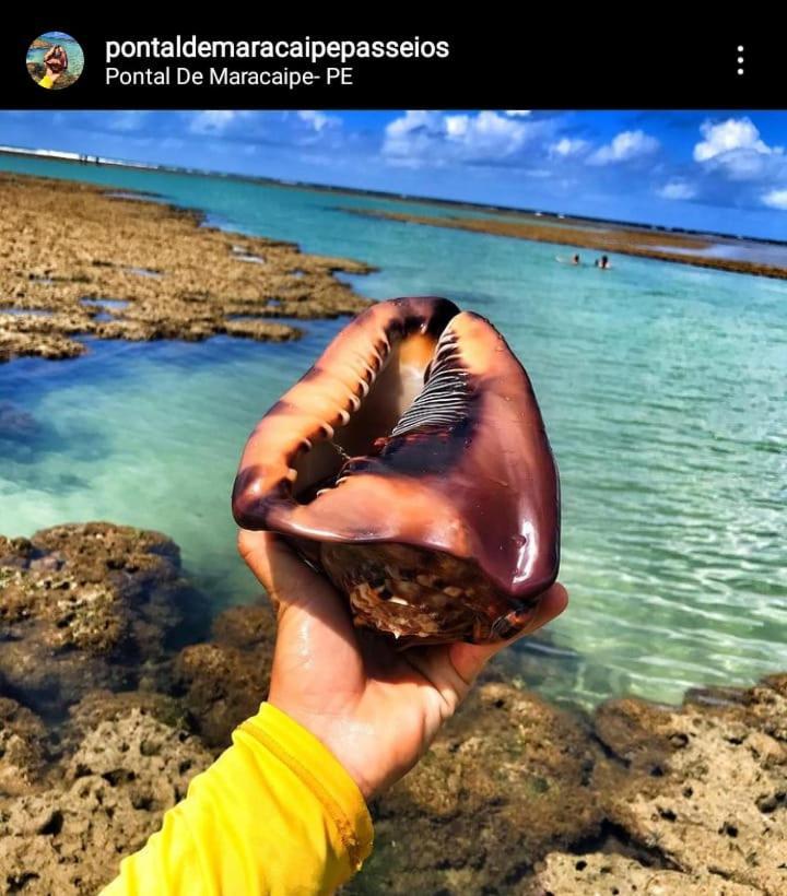 Holiday home Luna House Porto de Galinhas